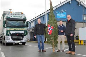 Christmas trees to be lit up across the county