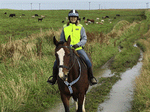 Time and space to keep us safe, plead horse riders