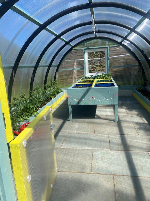 aurrida polytunnel 640.jpg