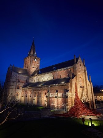 cathedral_poppies.jpg