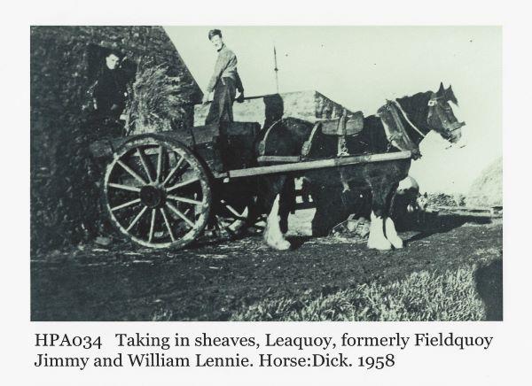 New Website Launched Capturing the Oral History of the North Isles