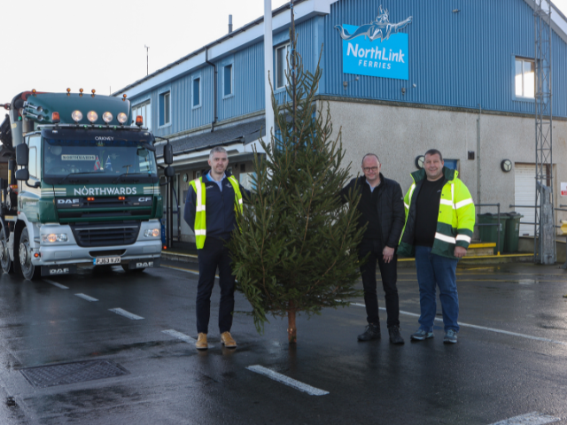 Christmas trees to be lit up across the county